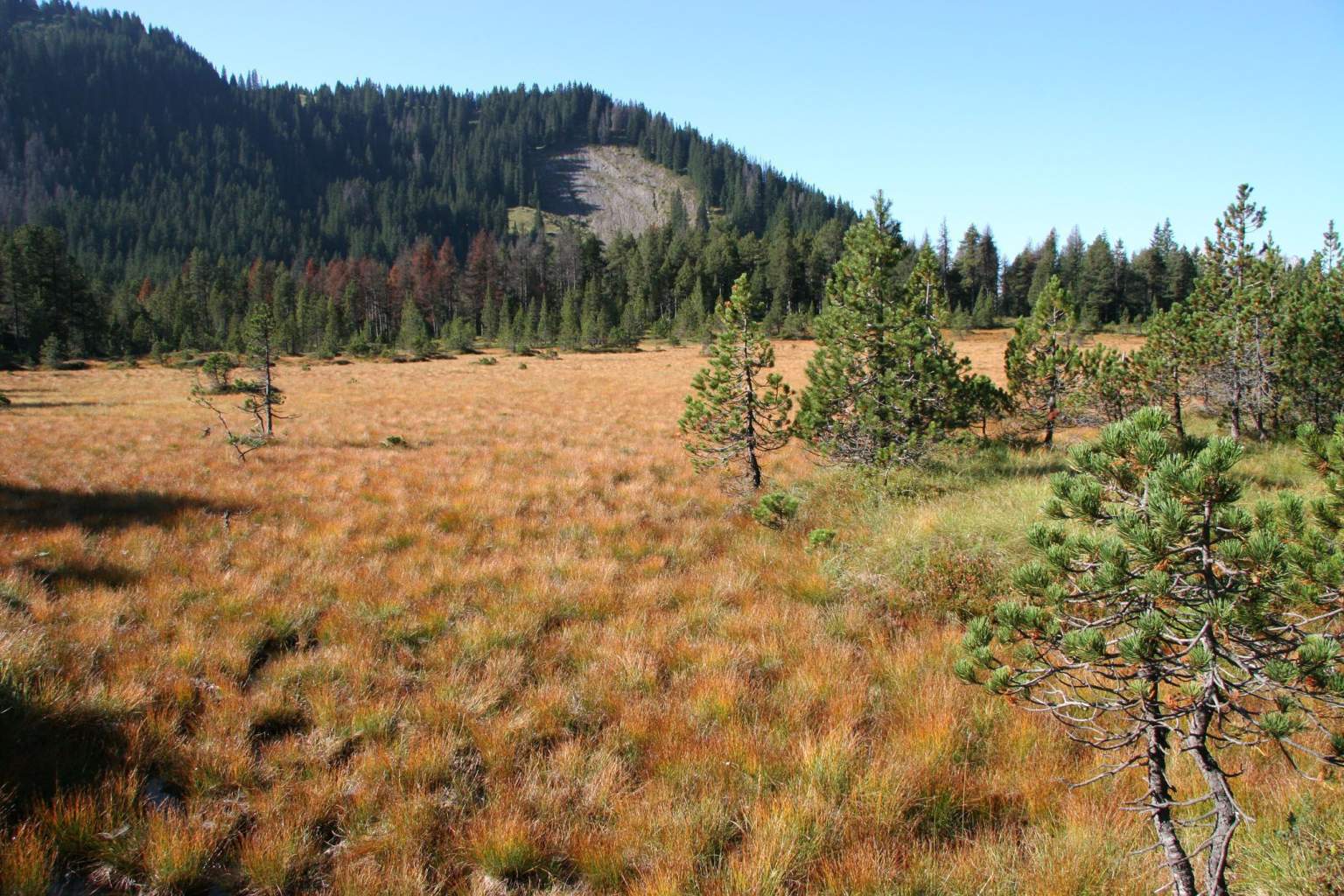 Pro Natura Association Pro Natura · Hôtel D Bâle